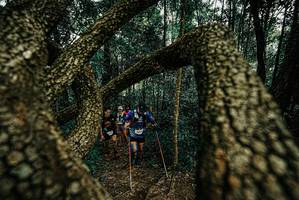 BIB: 
                            <button type="button" onclick="openModal(25675763)" class="btn btn-primary btn-sm float-right btn-popup" data-toggle="modal" data-target=".modal-high-quality">
                        <i class="fas fa-shopping-cart"></i> Add to Cart
                    </button>
                                            <button type="button" onclick="isThisMe(25675763, true)" class="btn btn-success btn-sm float-right btn-popup btn-isme hidden" data-toggle="tooltip" data-placement="bottom" title="นี่คือรูปของคุณใช่ไหม คลิกที่นี่เพื่อเอาเข้าอัลบั้ม">
                        <i class="fas fa-plus"></i> Add to album
                    </button>
                    <button type="button" onclick="isThisMe(25675763, false)" class="btn btn-warning btn-sm float-right btn-popup btn-isnotme hidden">
                        <i class="fas fa-ban"></i> Remove from album
                    </button>